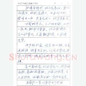 从苏华 硬笔行书 王维诗四首