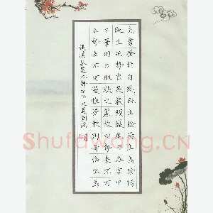 刘瑞 硬笔楷书 蔡邕九势