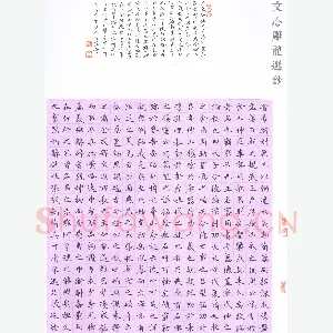 孙奇 硬笔楷书 文心雕龙选抄