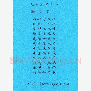 宋维武 硬笔楷书 杜甫诗一首