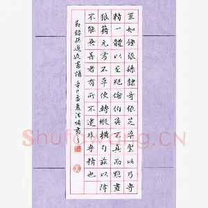彭洪顺 硬笔楷书 节录孙过庭书谱