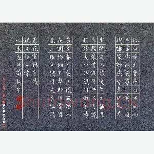 苏振宇 硬笔楷书 古诗二首