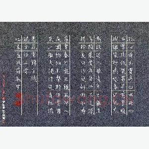 苏振宇 硬笔楷书 古诗二首