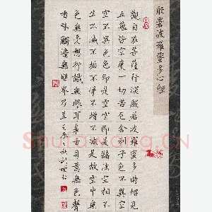 孙利标 硬笔楷书 般若波罗蜜多心经