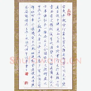孙利标 硬笔楷书 张怀瓘续书断节录