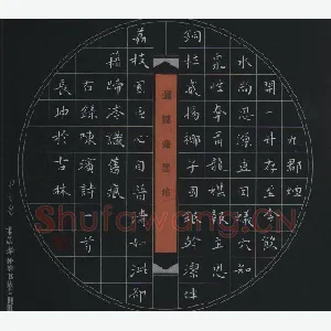 聂长坤 硬笔楷书 陈瑸诗一首