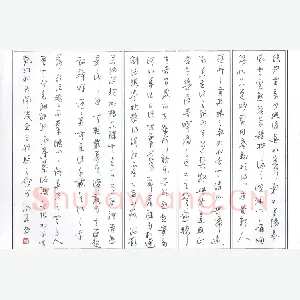 汪永佳 硬笔行草