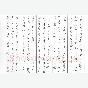 汪永佳 硬笔行草