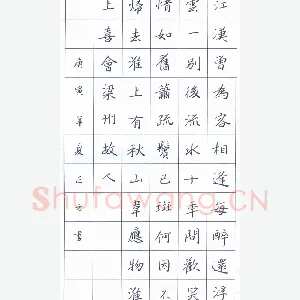 鲍正国 硬笔楷书 韦应物淮上喜会梁州故人