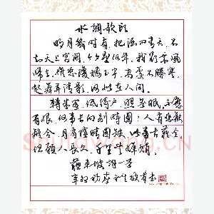 陈永生硬笔行草 苏东坡水调歌头词一首