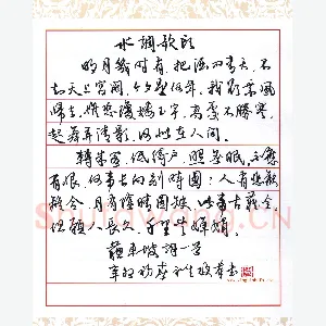 陈永生硬笔行草 苏东坡水调歌头词一首