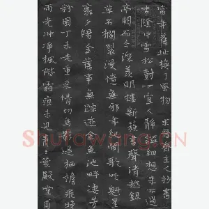 陈泽忠 硬笔楷书 雨光冲净