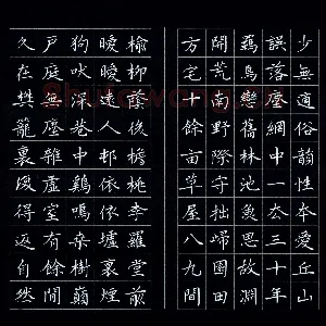 邵泳中 硬笔楷书 陶渊明归园田居