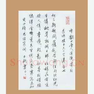 齐玉新 硬笔行草 周之琦思佳客词