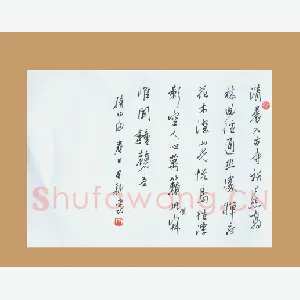 齐玉新 硬笔行草 常建诗一首