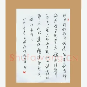 齐玉新 硬笔行草 辛弃疾词