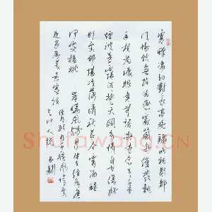 齐玉新 硬笔行草 柳永词