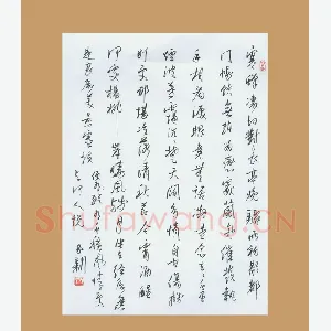 齐玉新 硬笔行草 柳永词