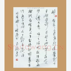 齐玉新 硬笔行草 周济词蝶恋花