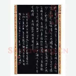 陈泽雄 硬笔草书 苏轼词一首