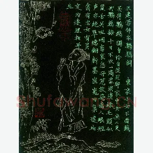 兰廷文 钢笔楷书 王建伤邻家鹦鹉词
