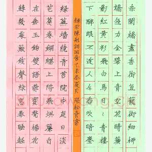 张松青 硬笔楷书 陈克词两首