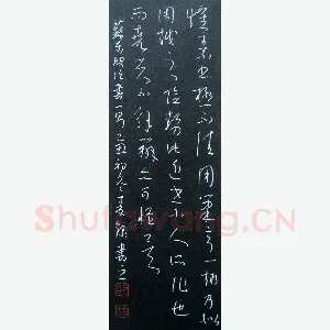 麦录 硬笔草书 苏东坡论书一则