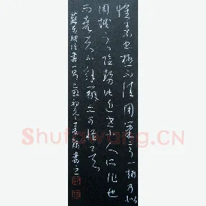 麦录 硬笔草书 苏东坡论书一则