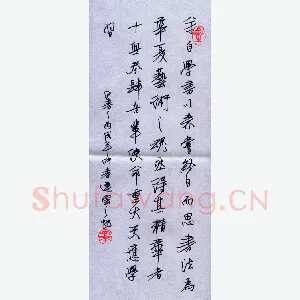 任定红 硬笔行书 学书感言