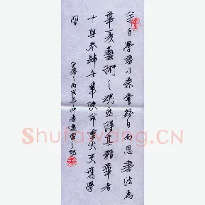 任定红 硬笔行书 学书感言