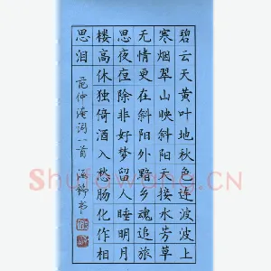 张学鹏 硬笔楷书 范仲淹词一首