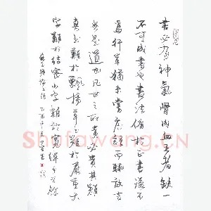 田雷 硬笔行书 苏子瞻论书语