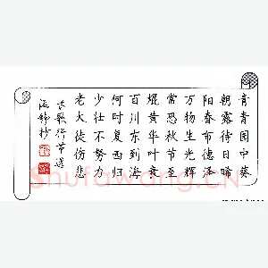 张学鹏 硬笔楷书 长歌行节选