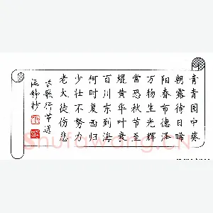 张学鹏 硬笔楷书 长歌行节选