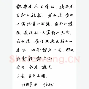 任平 硬笔行书 汪国真诗