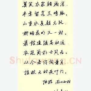 任平 硬笔行书 陆游诗游山西村