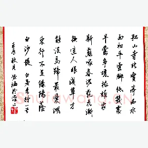 仇恒海 硬笔行书 白居易诗一首