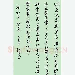 任平 硬笔行书 杜甫诗登高
