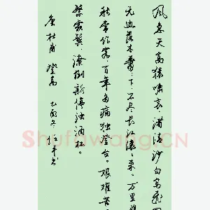 任平 硬笔行书 杜甫诗登高