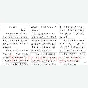 任平 硬笔行书 岳阳楼记
