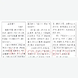 任平 硬笔行书 岳阳楼记