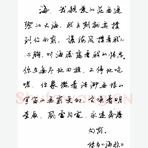 任平 硬笔行书 海歌
