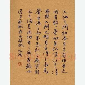 况兆鸿 硬笔行书 苏轼前赤壁赋节选
