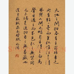 况兆鸿 硬笔行书 苏轼前赤壁赋节选