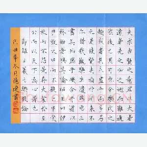 吴德建 硬笔楷书 乐毅论节录