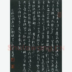 麦荣 硬笔草书 庾信枯树赋