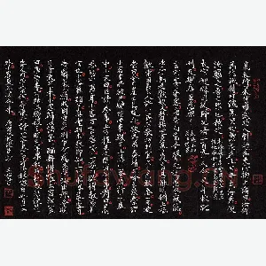 姜玉松 硬笔楷书 唐语林校证节抄