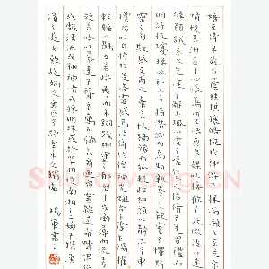 杨军 硬笔楷书 洛神赋