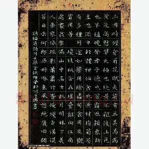 何才兴 硬笔楷书 楷书 录梅菊诗句