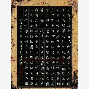 何才兴 硬笔楷书 楷书 录梅菊诗句